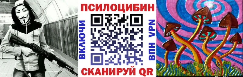 Галлюциногенные грибы Psilocybe  Купить где  Жуков 